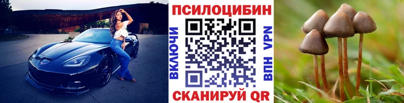 Купить  Курган  Галлюциногенные грибы мухоморы 